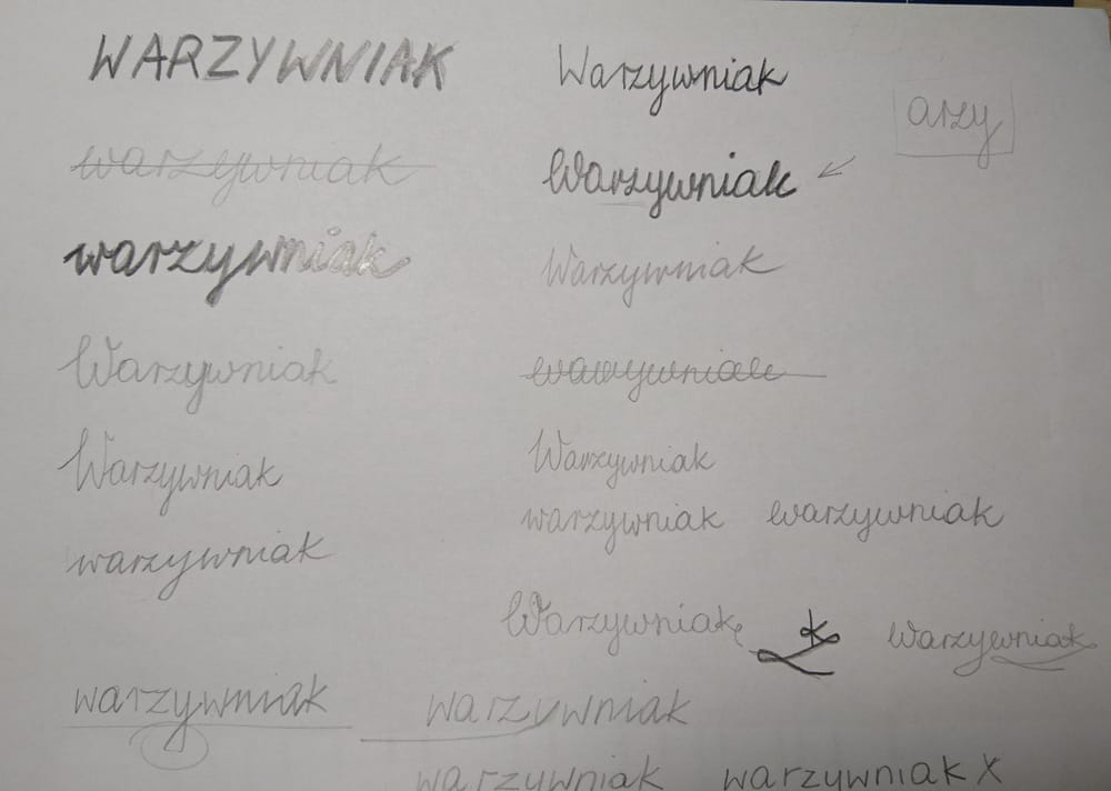 Warzywniak - image 2 - student project