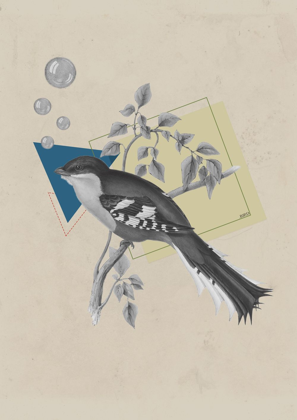 Vintage bird - image 3 - student project