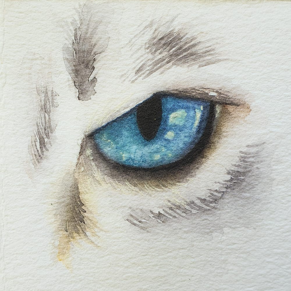 Animal Eyes | Ariana Iacono - image 2 - student project
