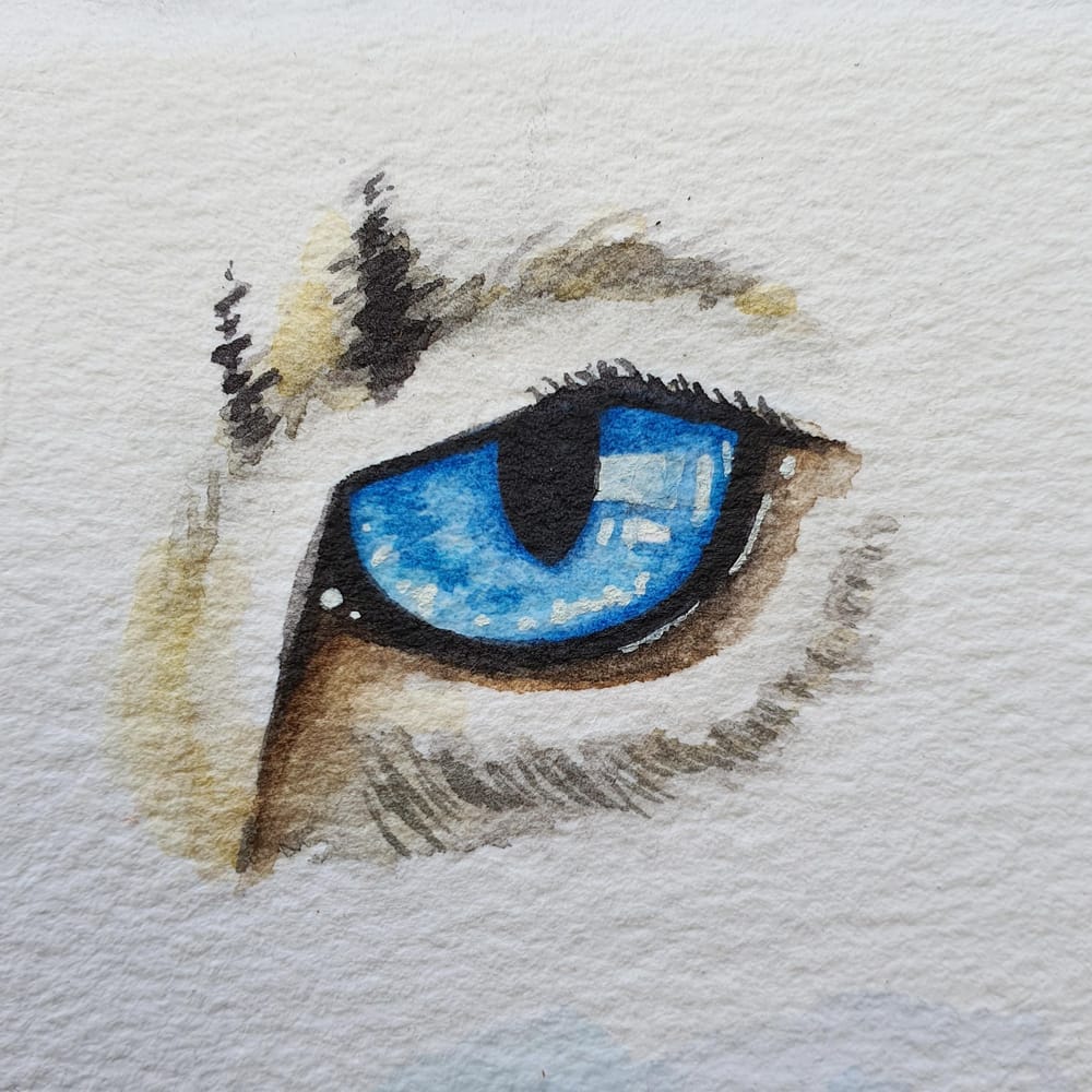 Animal Eyes | Ariana Iacono - image 1 - student project