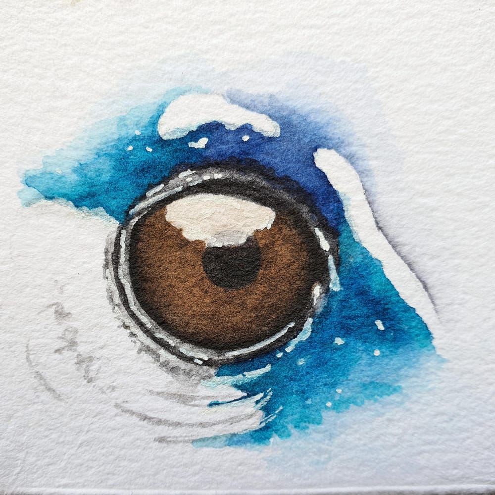 Animal Eyes | Ariana Iacono - image 3 - student project