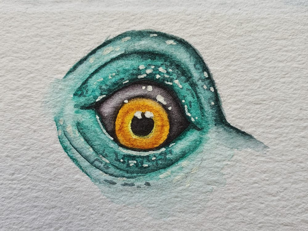 Animal Eyes | Ariana Iacono - image 4 - student project