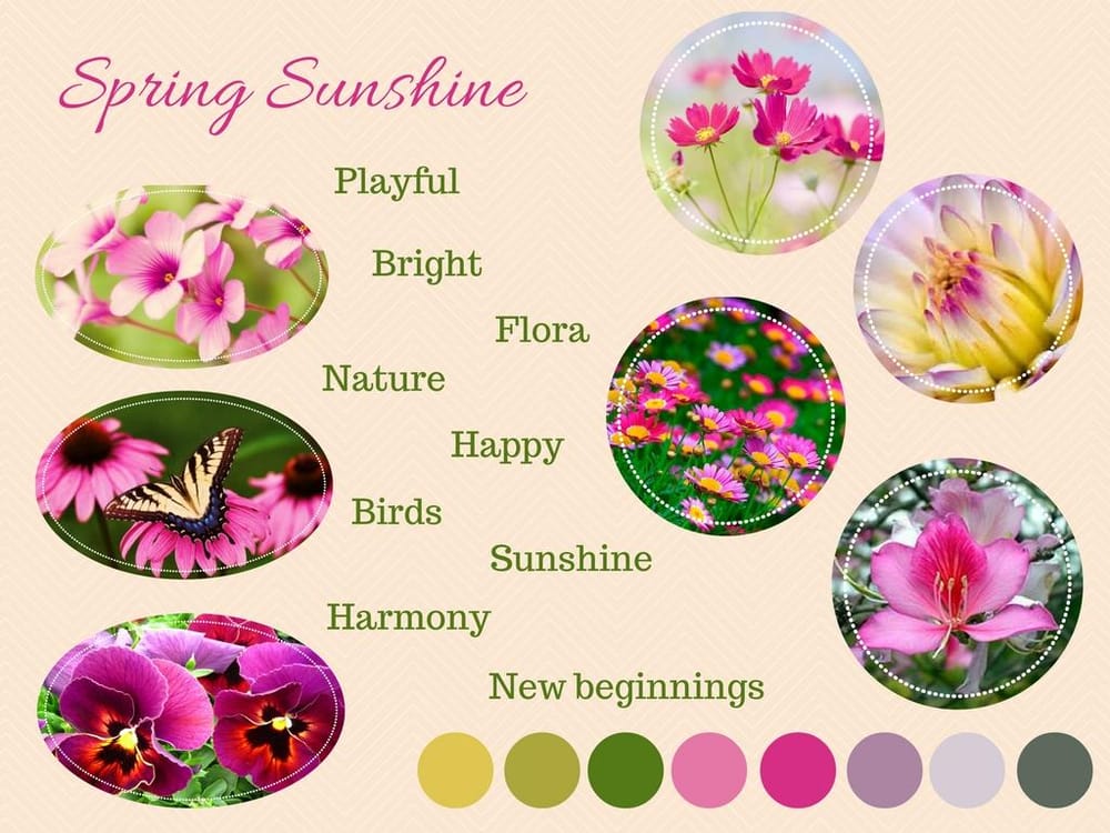 Spring Sunshine - image 6 - student project