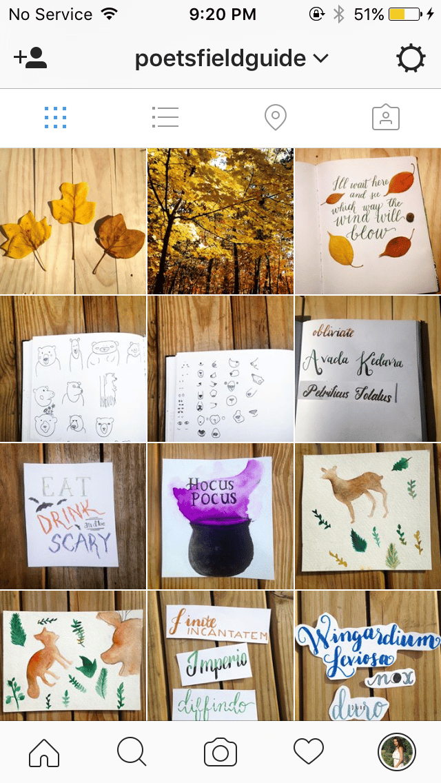 Poet's Field Guide - image 4 - student project