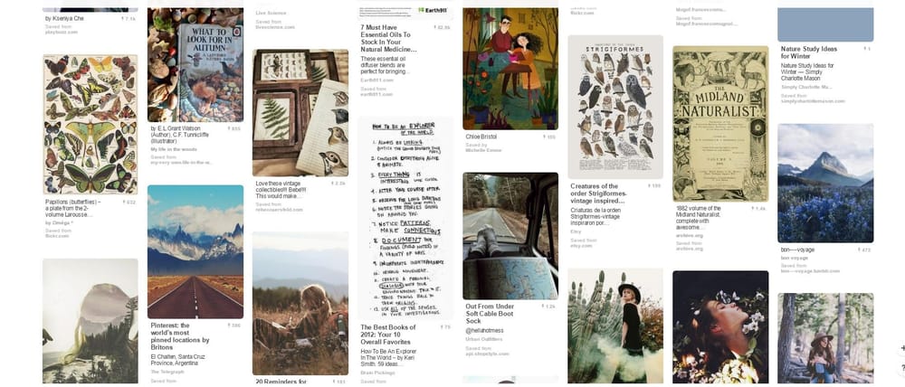 Poet's Field Guide - image 2 - student project