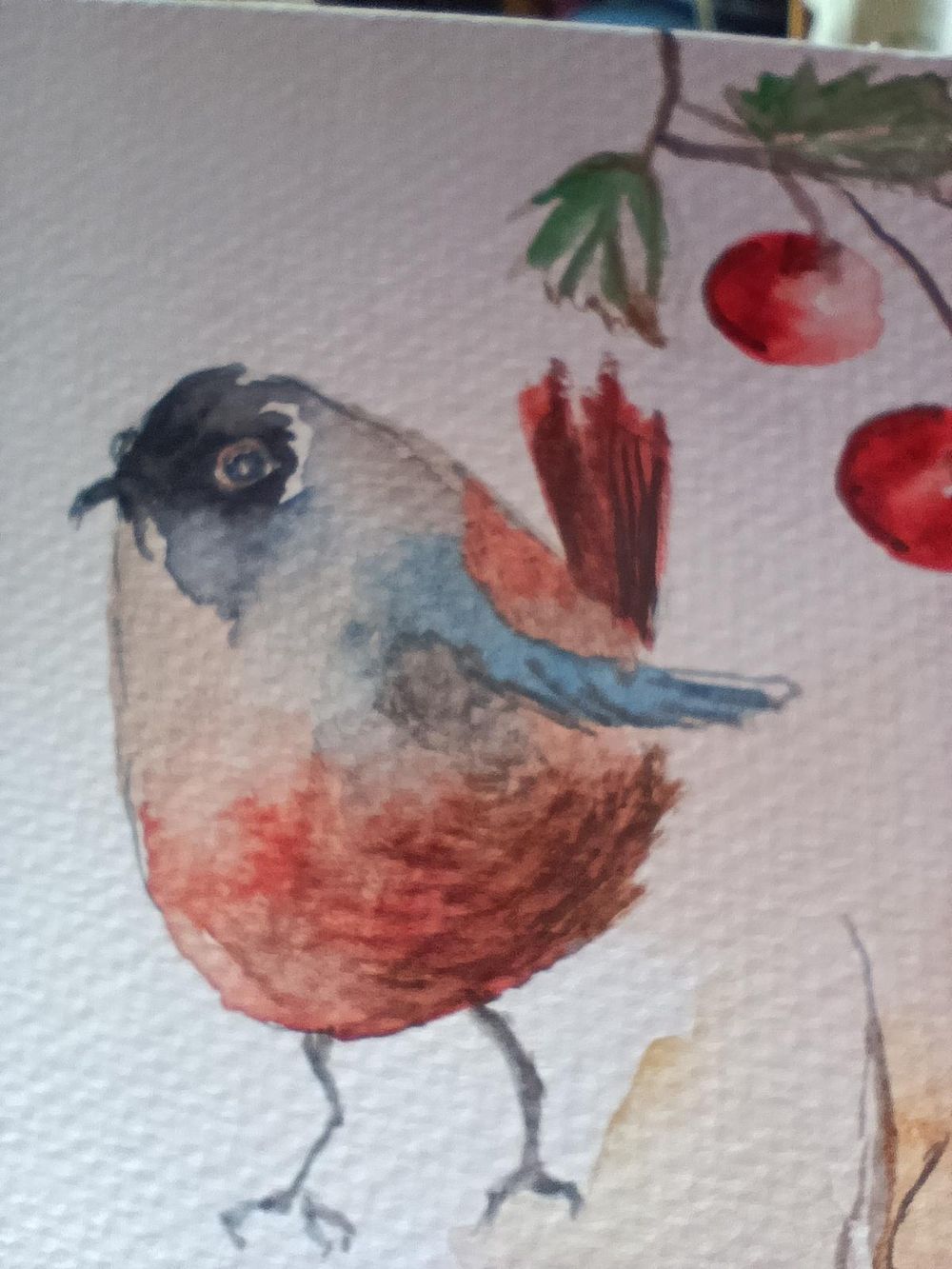 birds - image 5 - student project