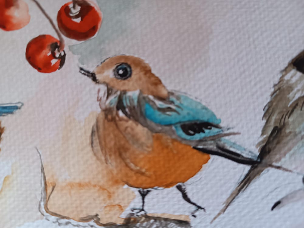 birds - image 6 - student project