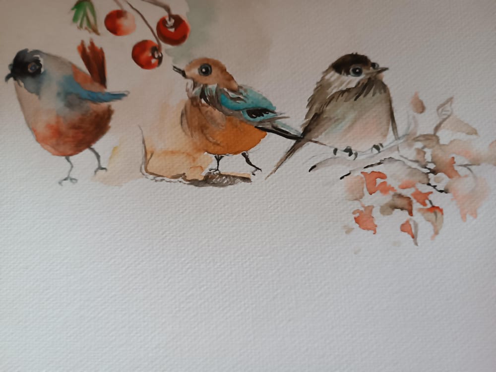 birds - image 8 - student project