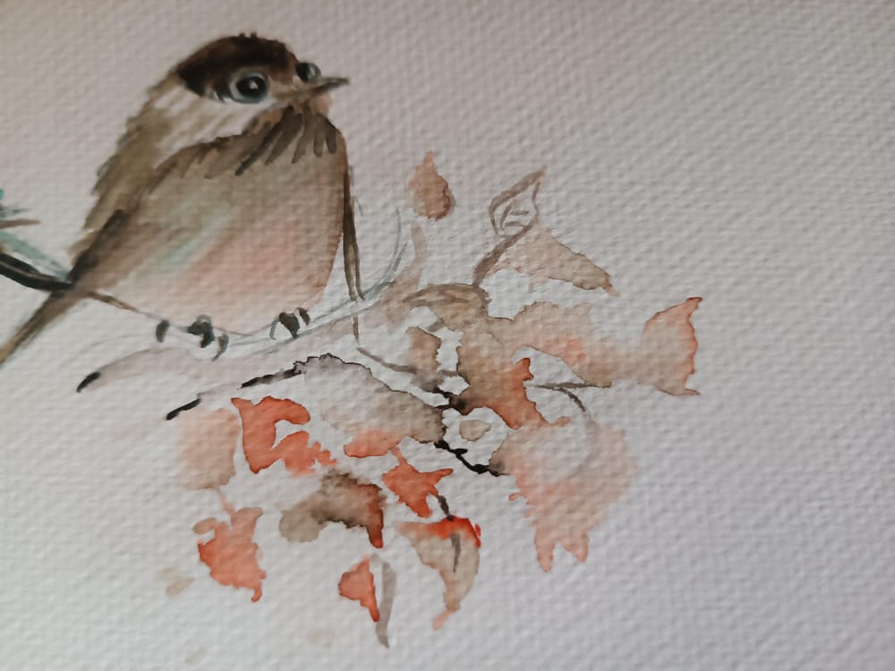 birds - image 7 - student project