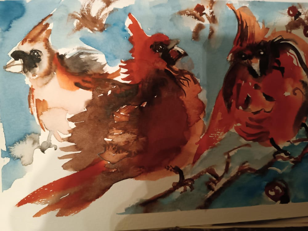 red birds - image 2 - student project