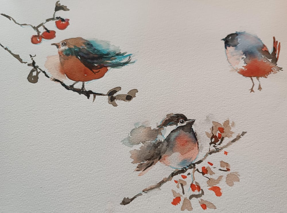 birds - image 4 - student project
