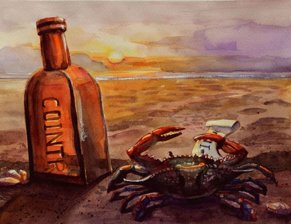 Lonely, dreaming crab - image 4 - student project