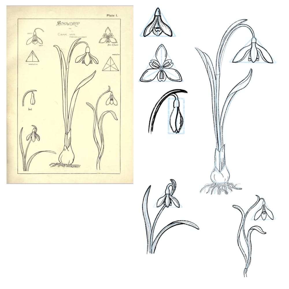 Art Nouveau Study - image 3 - student project