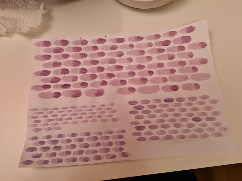Exercises Mix - image 3 - student project