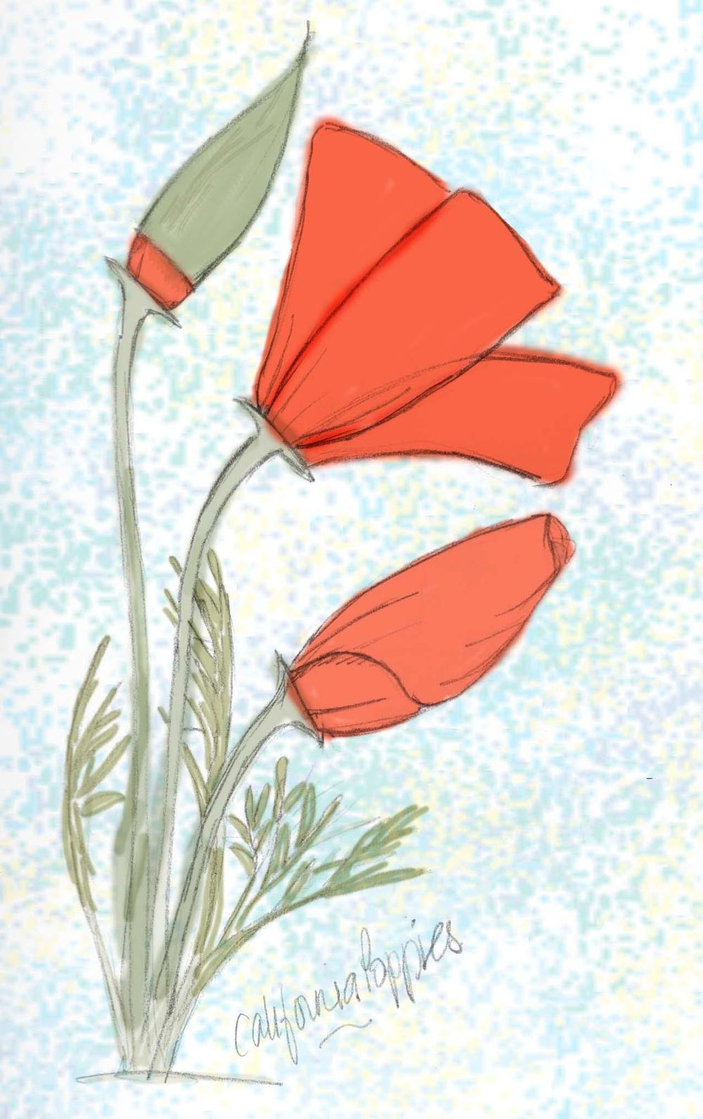 Poppies - image 1 - student project