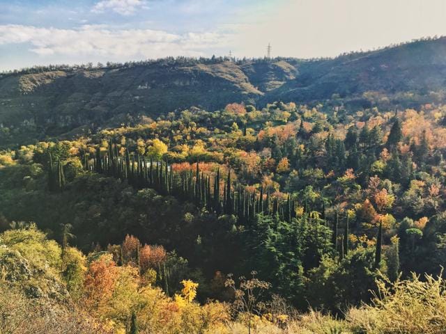 Wanders around Tbilisi - image 2 - student project