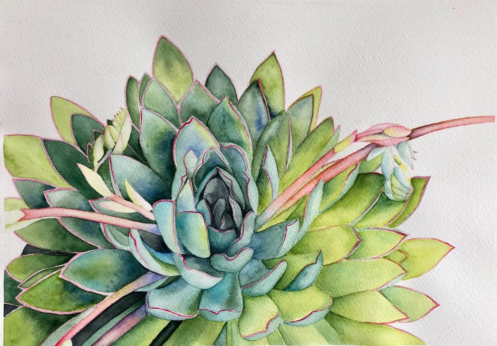 Succulent - Louise de Masi tutorial - image 3 - student project