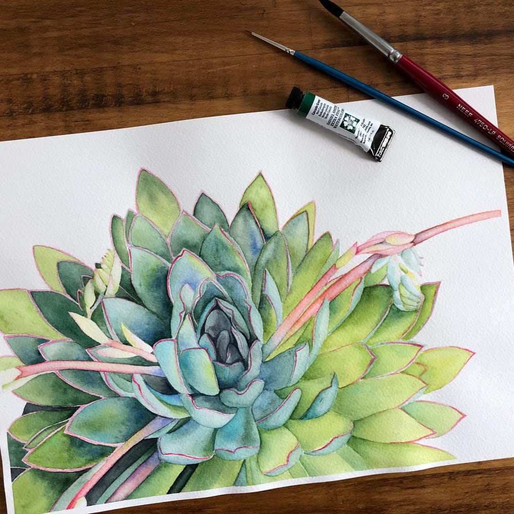 Succulent - Louise de Masi tutorial - image 1 - student project