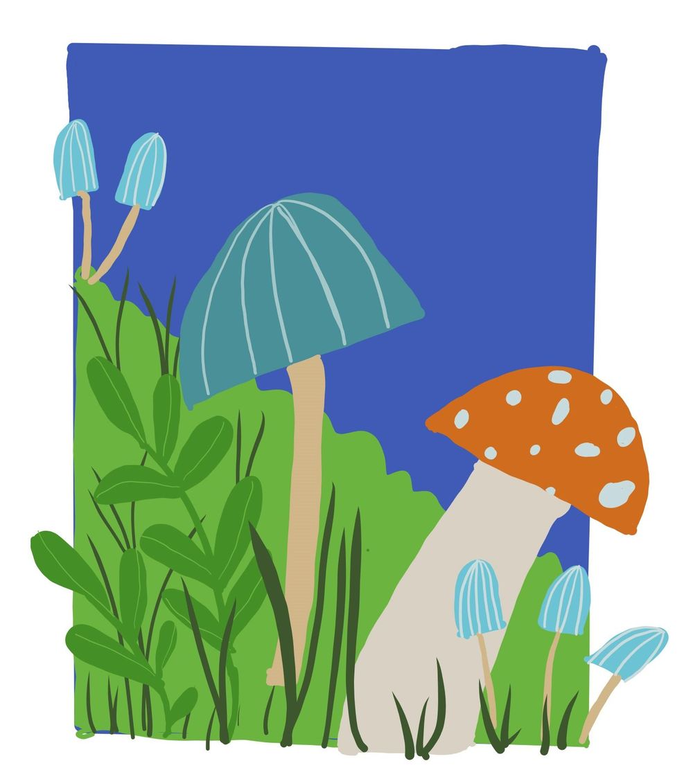Mushrooms 3 ways - image 1 - student project