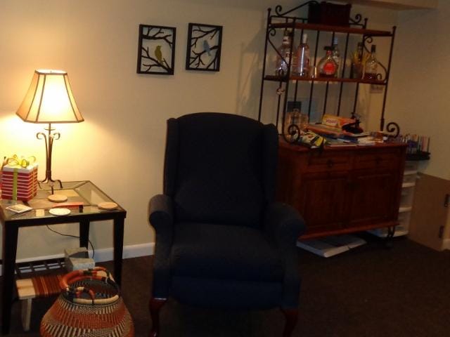 365 Days of Cleaning, Clearing, Organizing my Home. - image 4 - student project