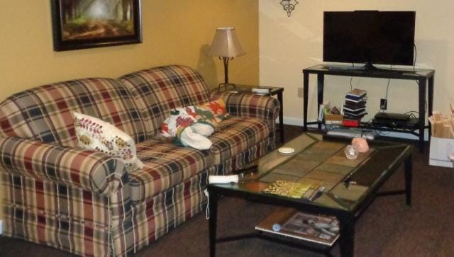 365 Days of Cleaning, Clearing, Organizing my Home. - image 1 - student project
