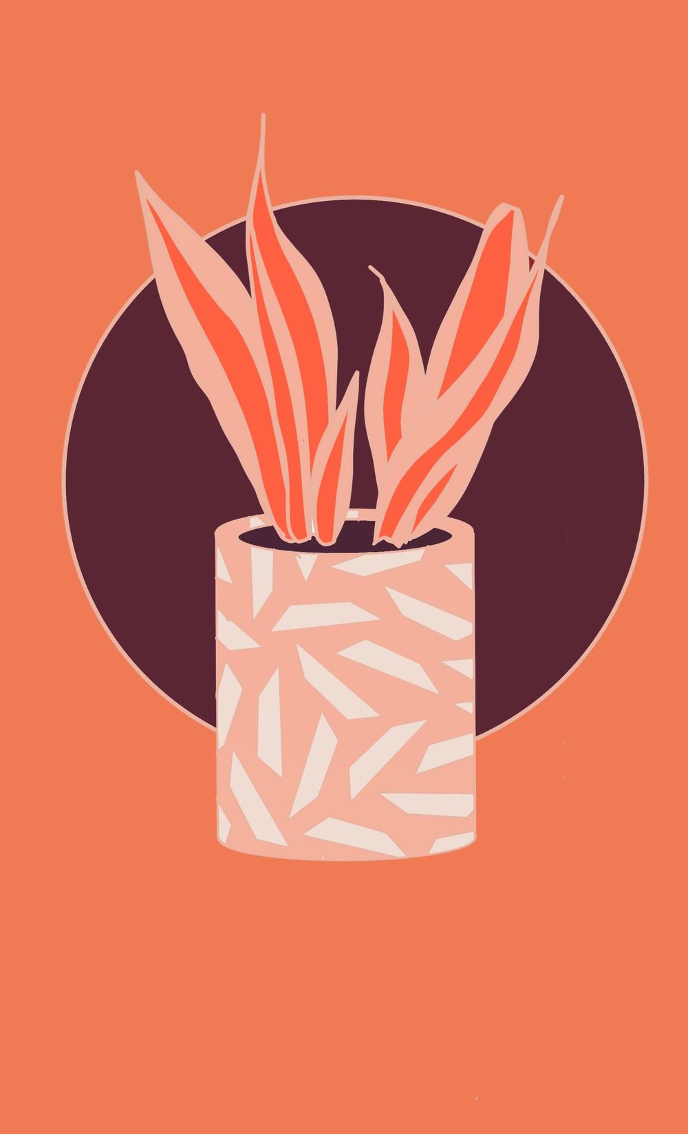 Snake Plant - image 1 - student project