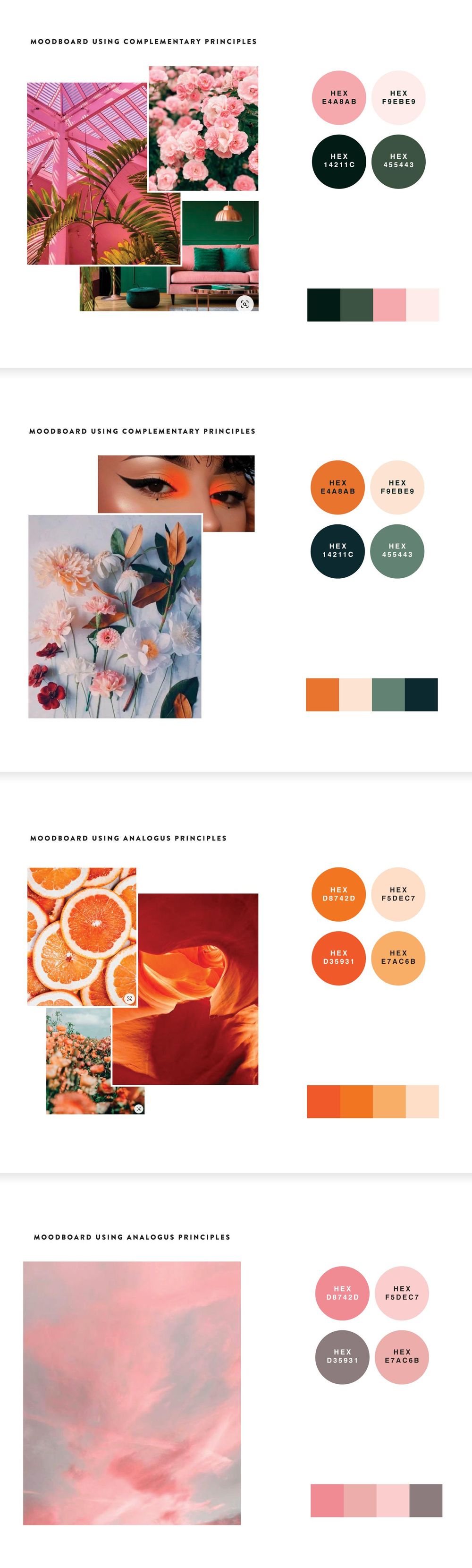 Color studies - image 3 - student project