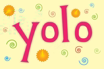 You Only Live Once - image 2 - student project