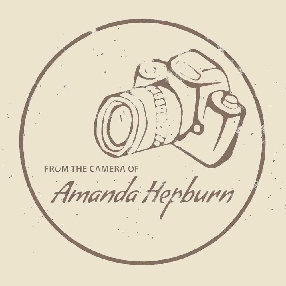 Photoshop: dry ink texture - image 2 - student project