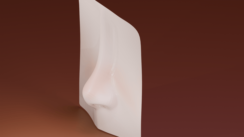 A nose :) - image 1 - student project