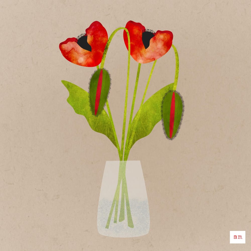 Creating Textured Flowers With Affinity Designer Skillshare Student