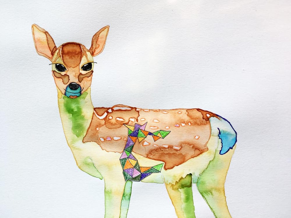 Bear and deer - image 3 - student project