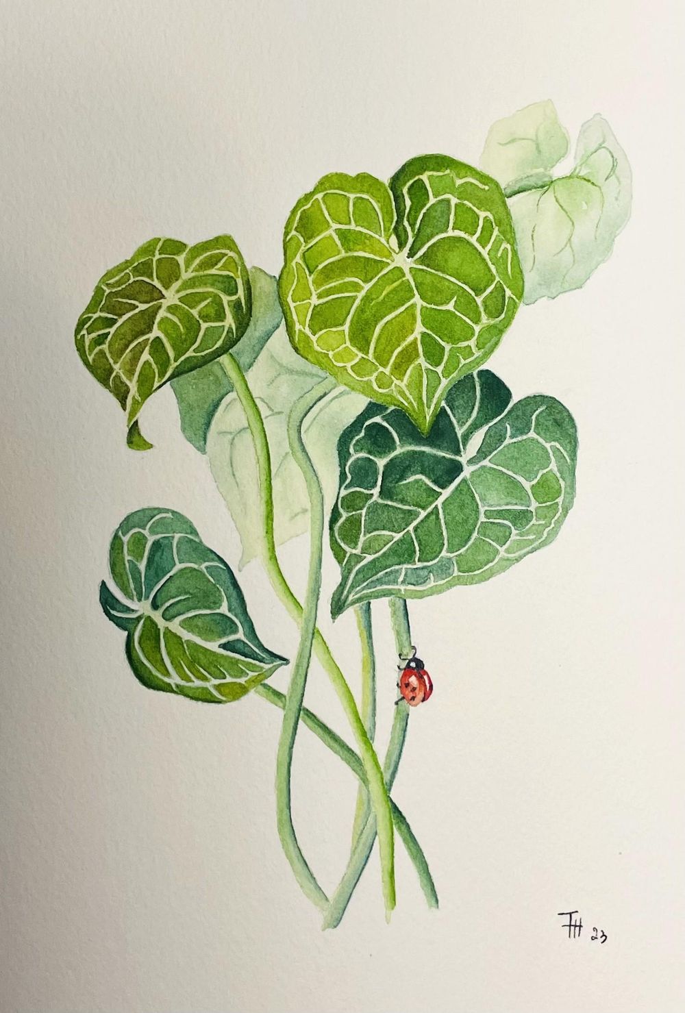 plant with lady bug - image 1 - student project