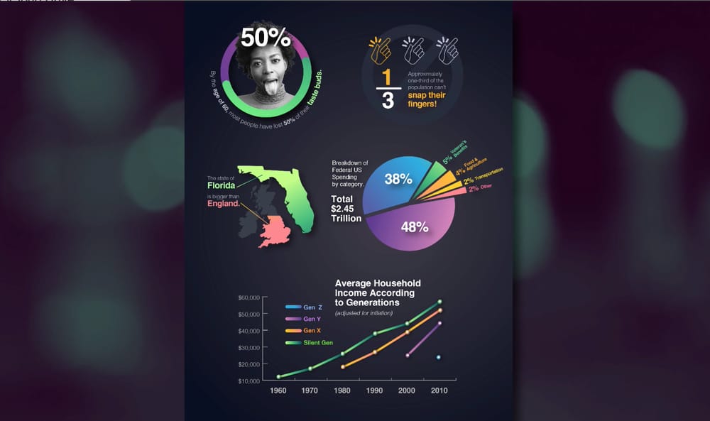 Infographic Design Project - image 1 - student project