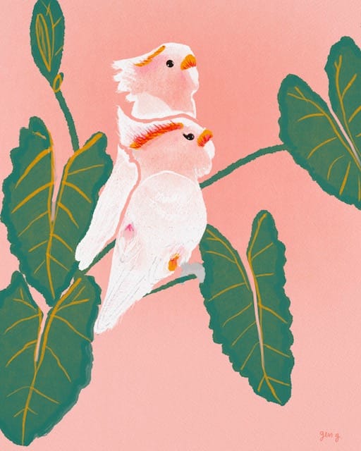 Cockatoos - image 1 - student project