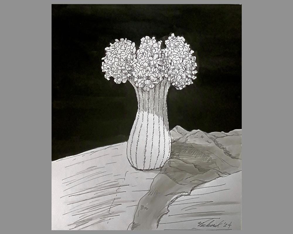 White vase, white flowers and white table top! - image 1 - student project
