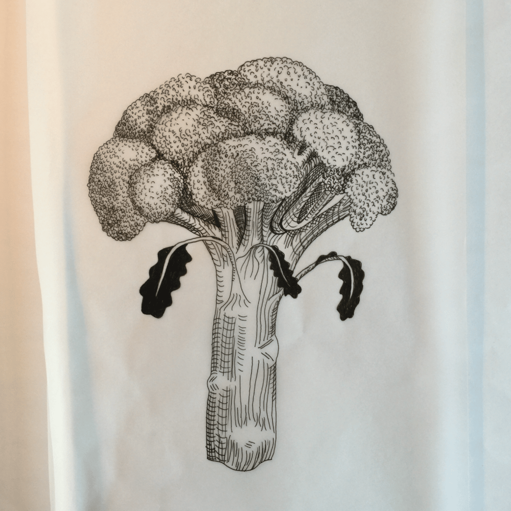 The Broccoli Show - A drawing example project - image 3 - student project