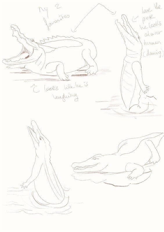 Crocodile character - image 2 - student project