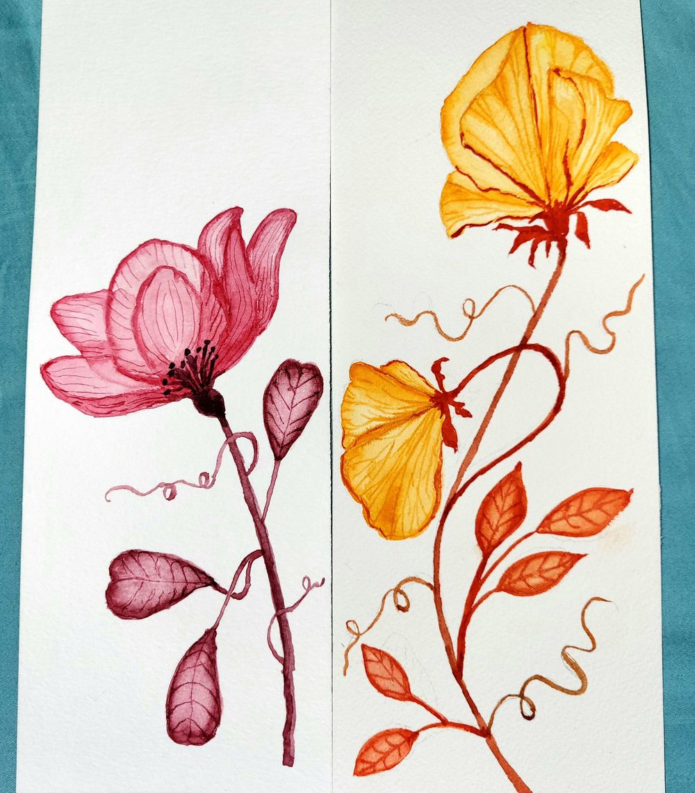 Transparent florals - image 1 - student project