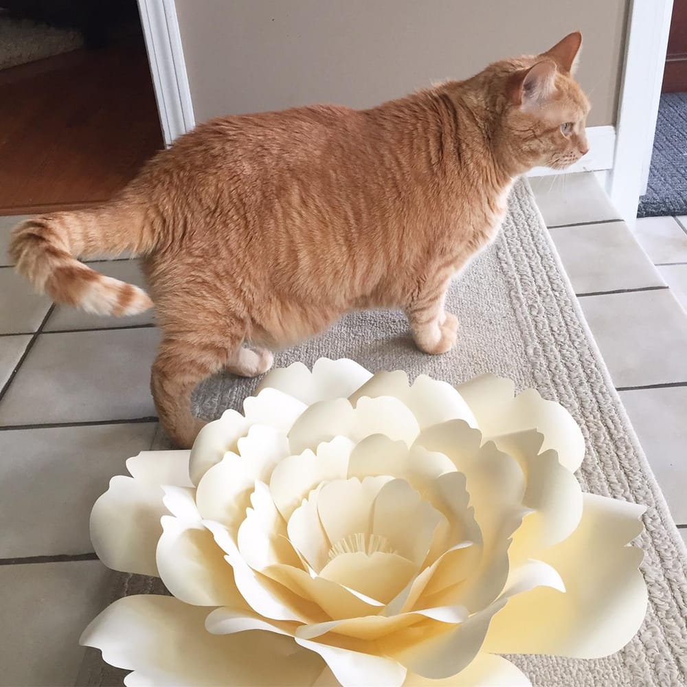 Crafting a Paper Flower - image 2 - student project