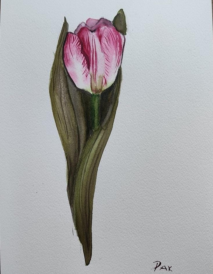 Tulips - image 1 - student project
