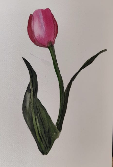 Tulips - image 2 - student project
