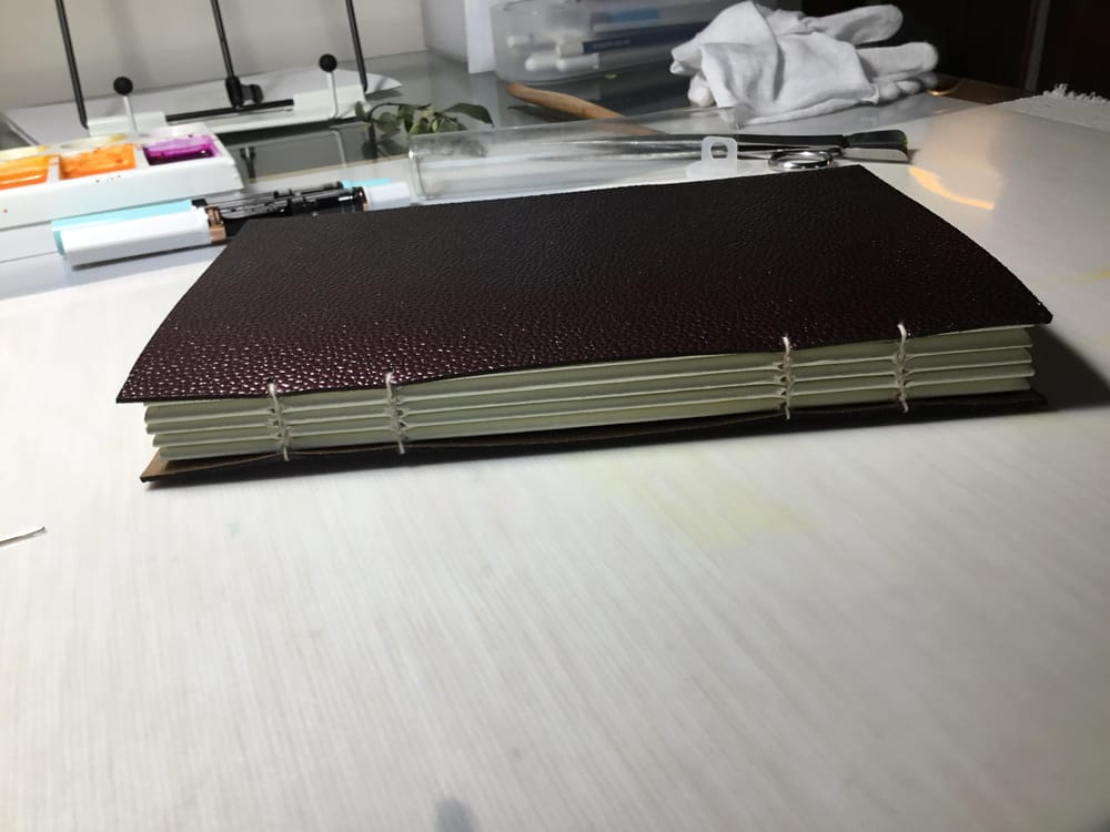 Still need more practice but love my first book - image 7 - student project