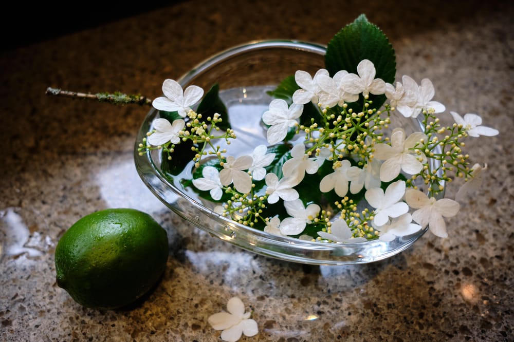 Pet Miniature Flower Arrangements - image 1 - student project