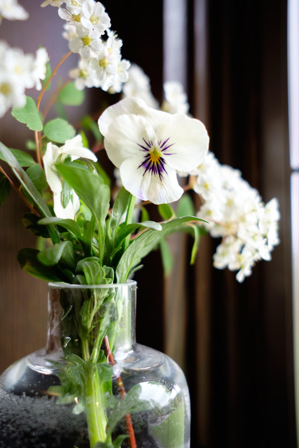 Pet Miniature Flower Arrangements - image 2 - student project