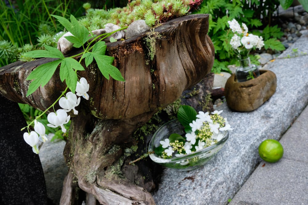 Pet Miniature Flower Arrangements - image 3 - student project