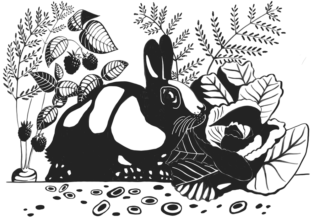 Rabbit escape - image 2 - student project