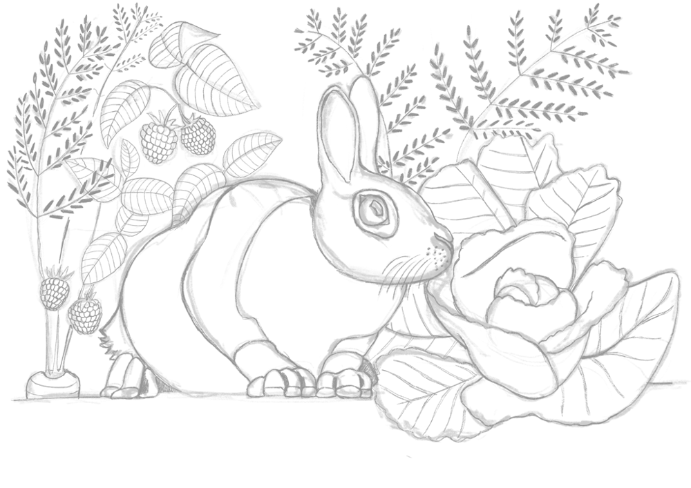 Rabbit escape - image 1 - student project