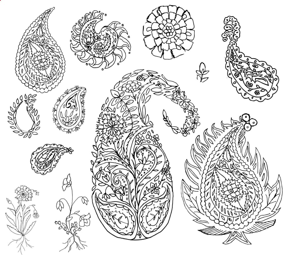 Adventures in Paisley - image 5 - student project