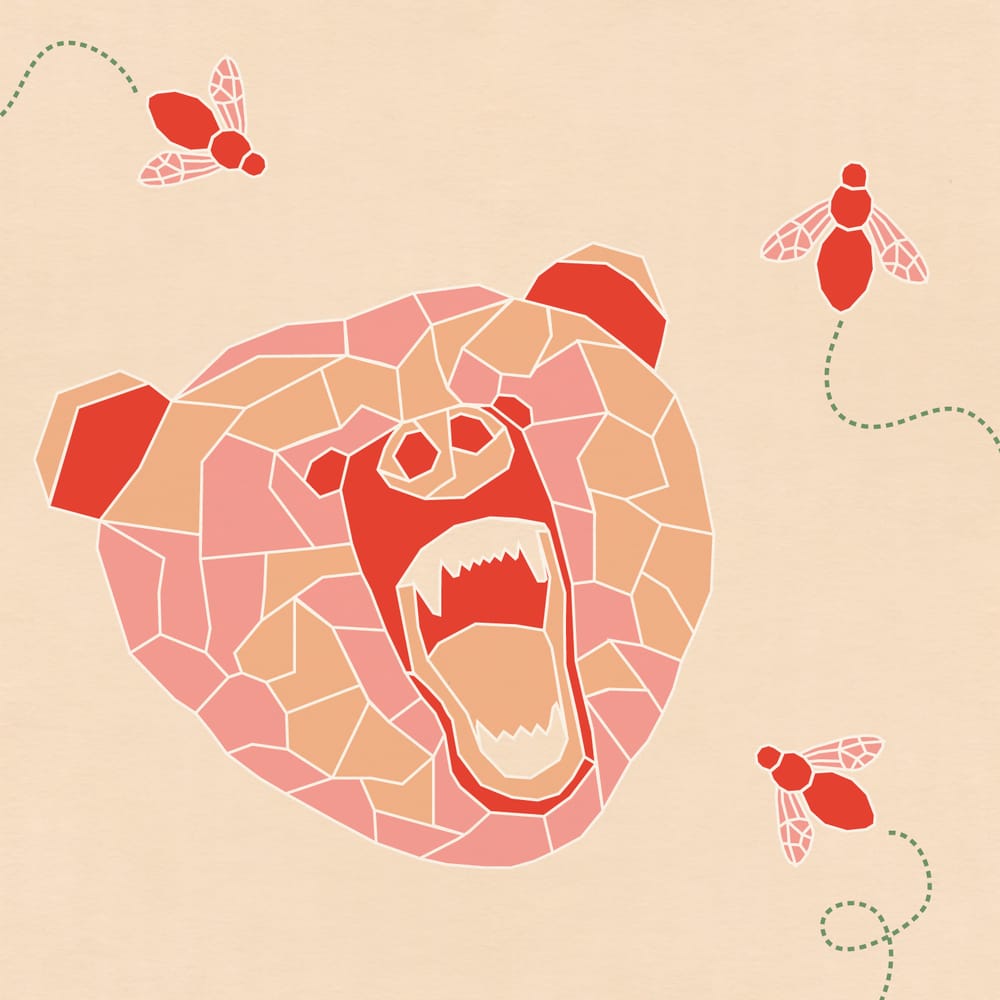 Vector Bear - image 4 - student project